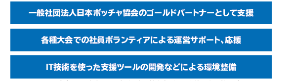 ボッチャの支援活動